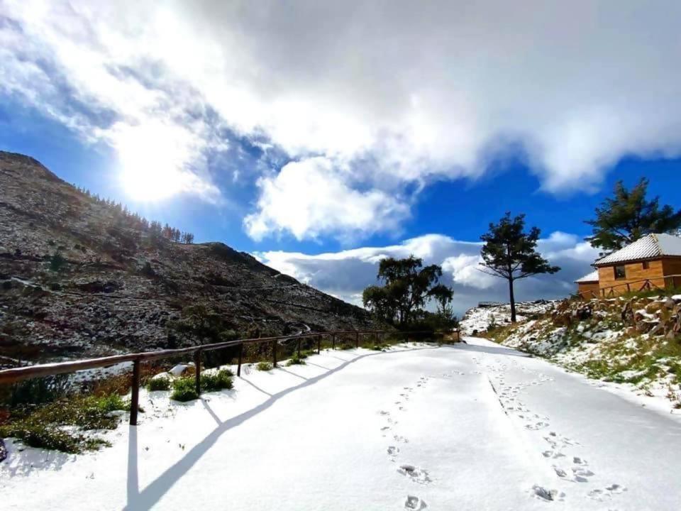 Mountain Eco Shelter 2 Funchal (Madeira) Exterior foto